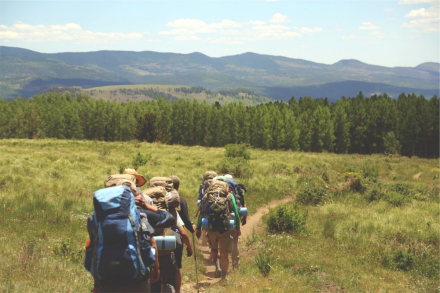 Ethnografische Expedition "Auf den Spuren der Deutschen Transkarpatiens": Anmeldung